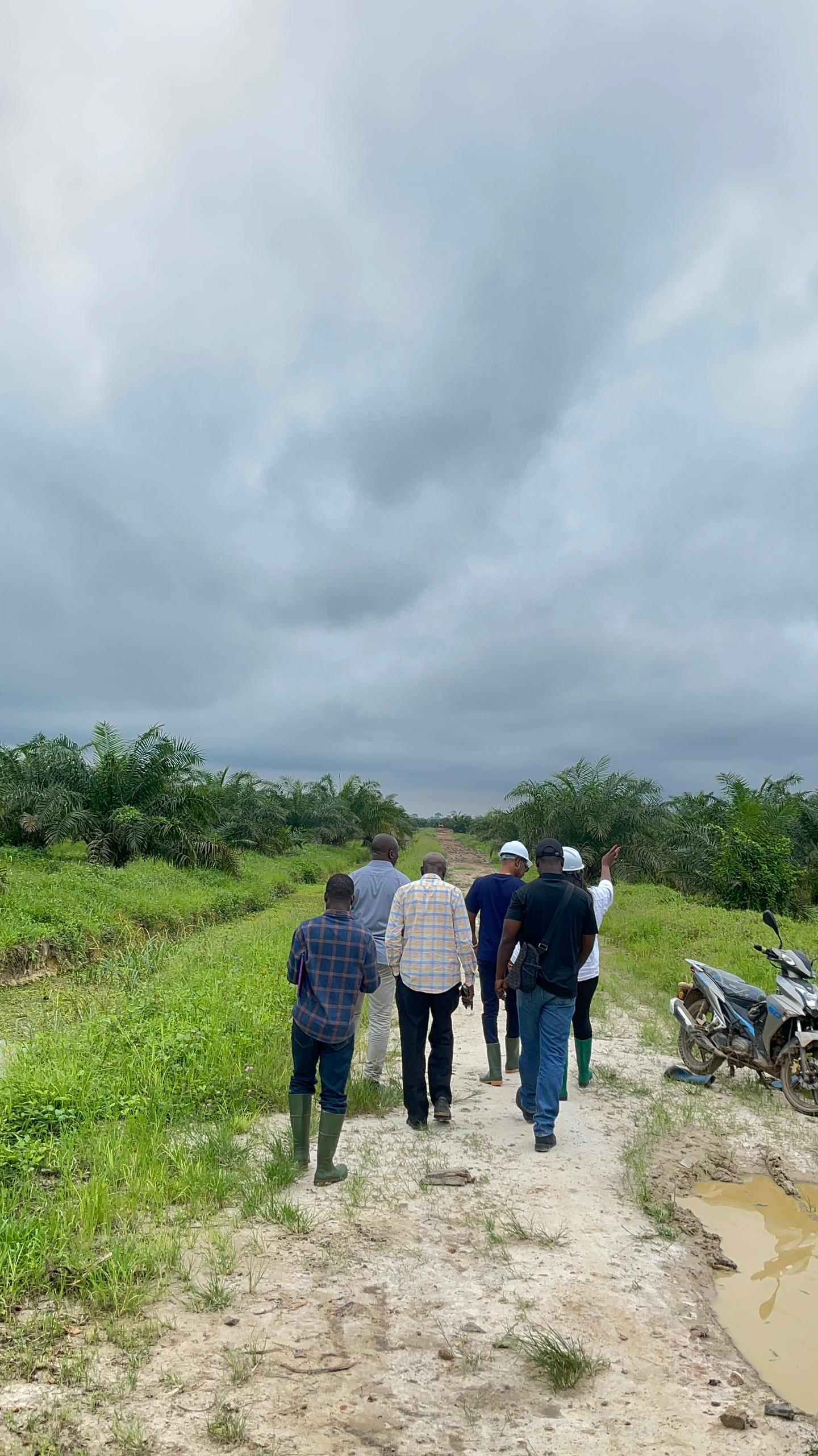 Cité Texas 2 - Image 23